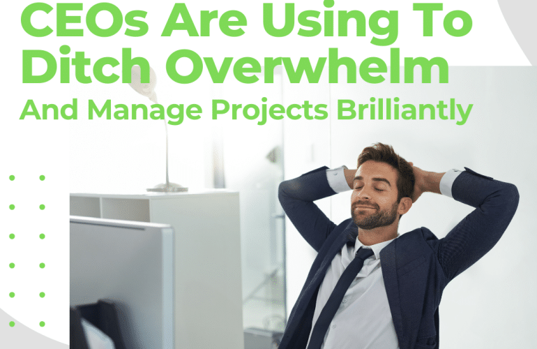 How To Get Out Of Overwhelm And Manage Projects Brilliantly (While Saving Money On IT) 5
