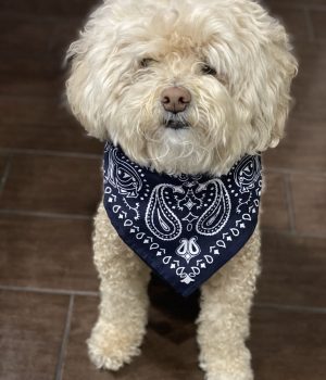 Keiki